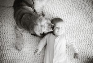 Bay Area Family Newborn Photographer