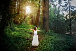 Bay Area Family Photographer