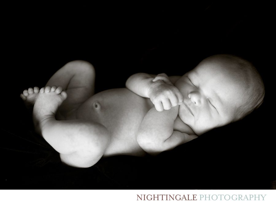 Marin Newborn Session 