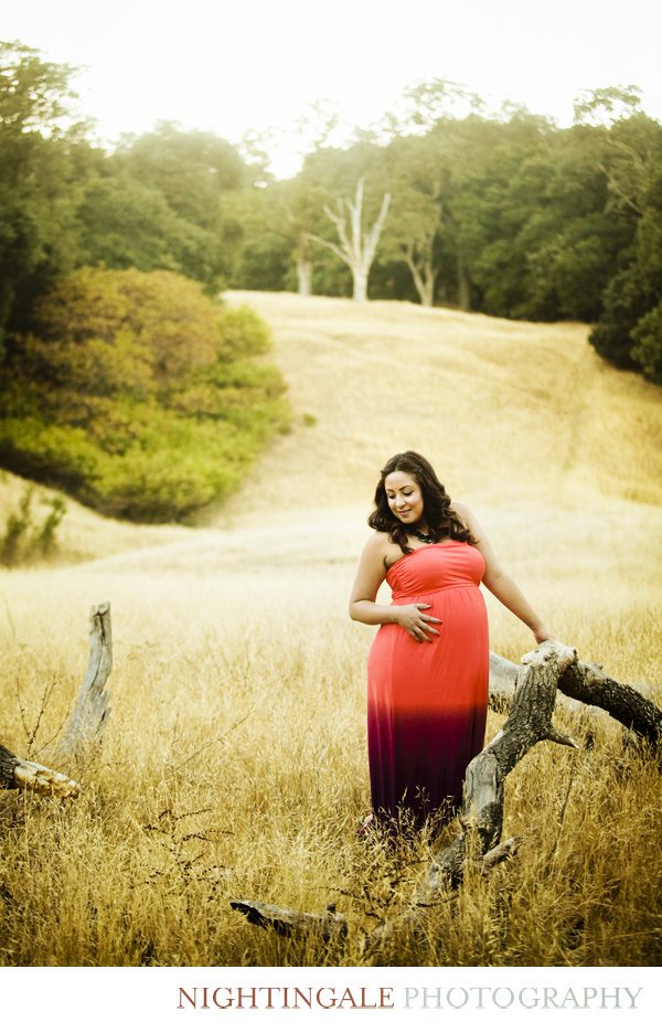 San-Jose-Maternity-Session