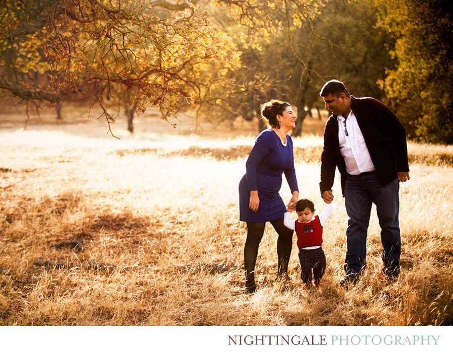 Walnut Creek Family Portraits