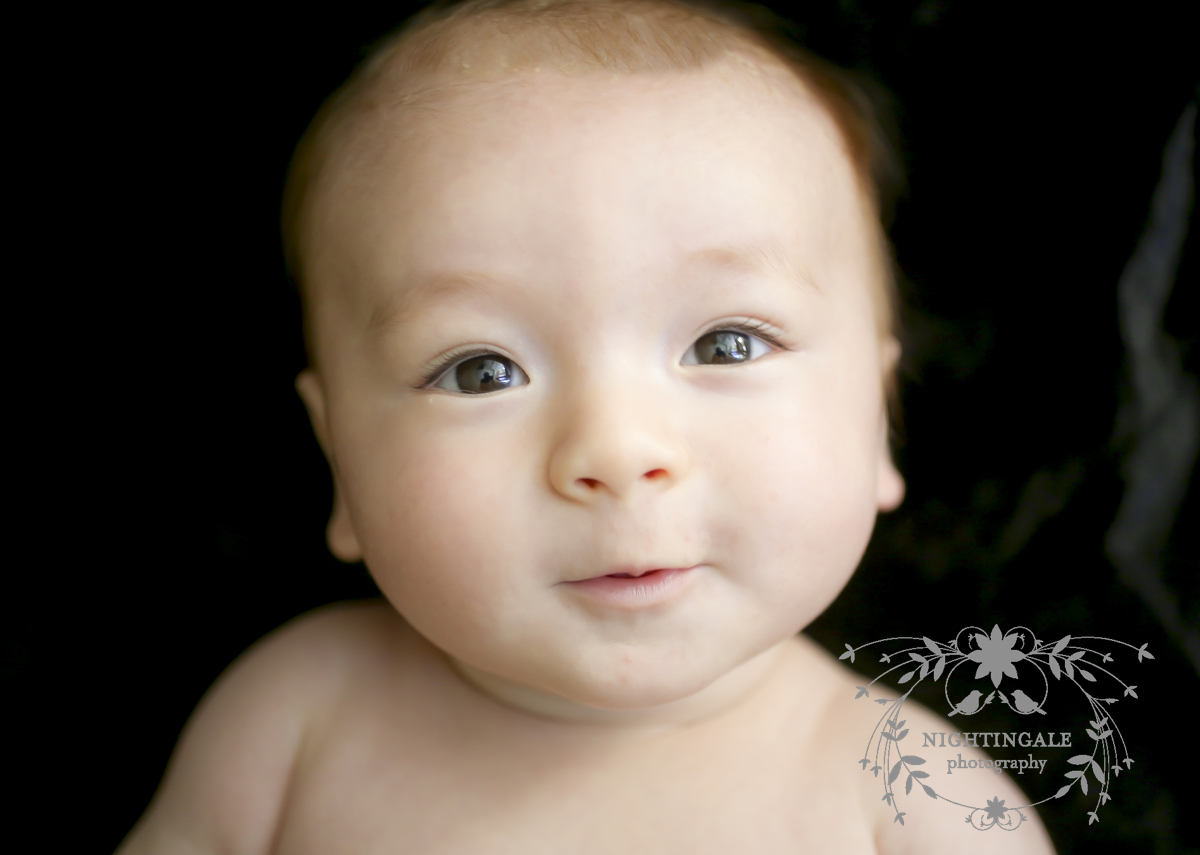 East Bay Newborn Photographer