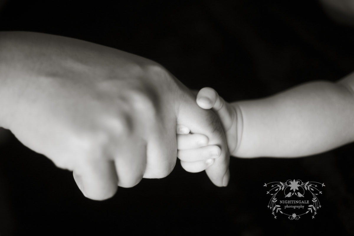 East Bay Newborn Photographer
