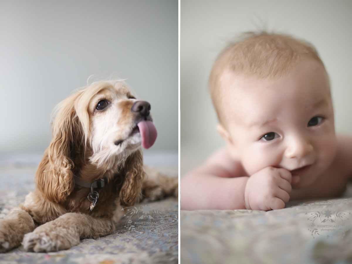 East Bay Newborn Photographer