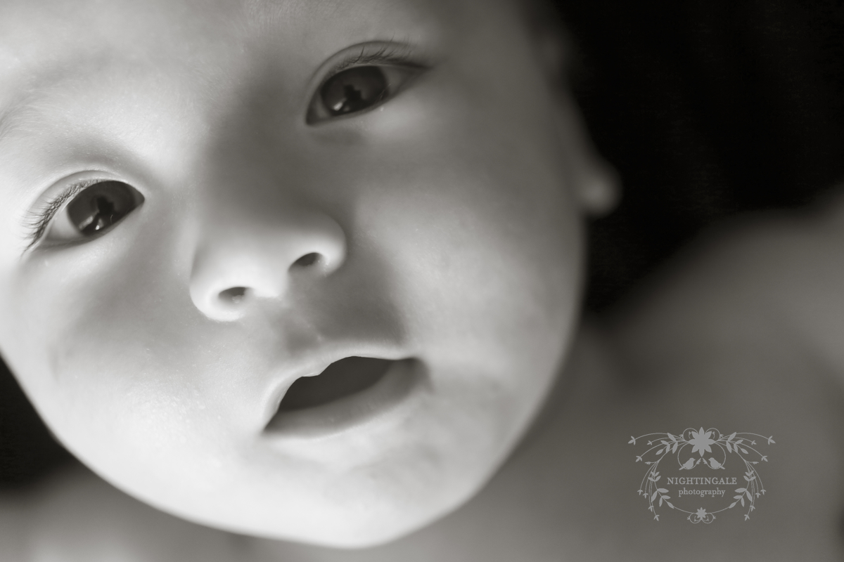 East Bay Newborn Photographer