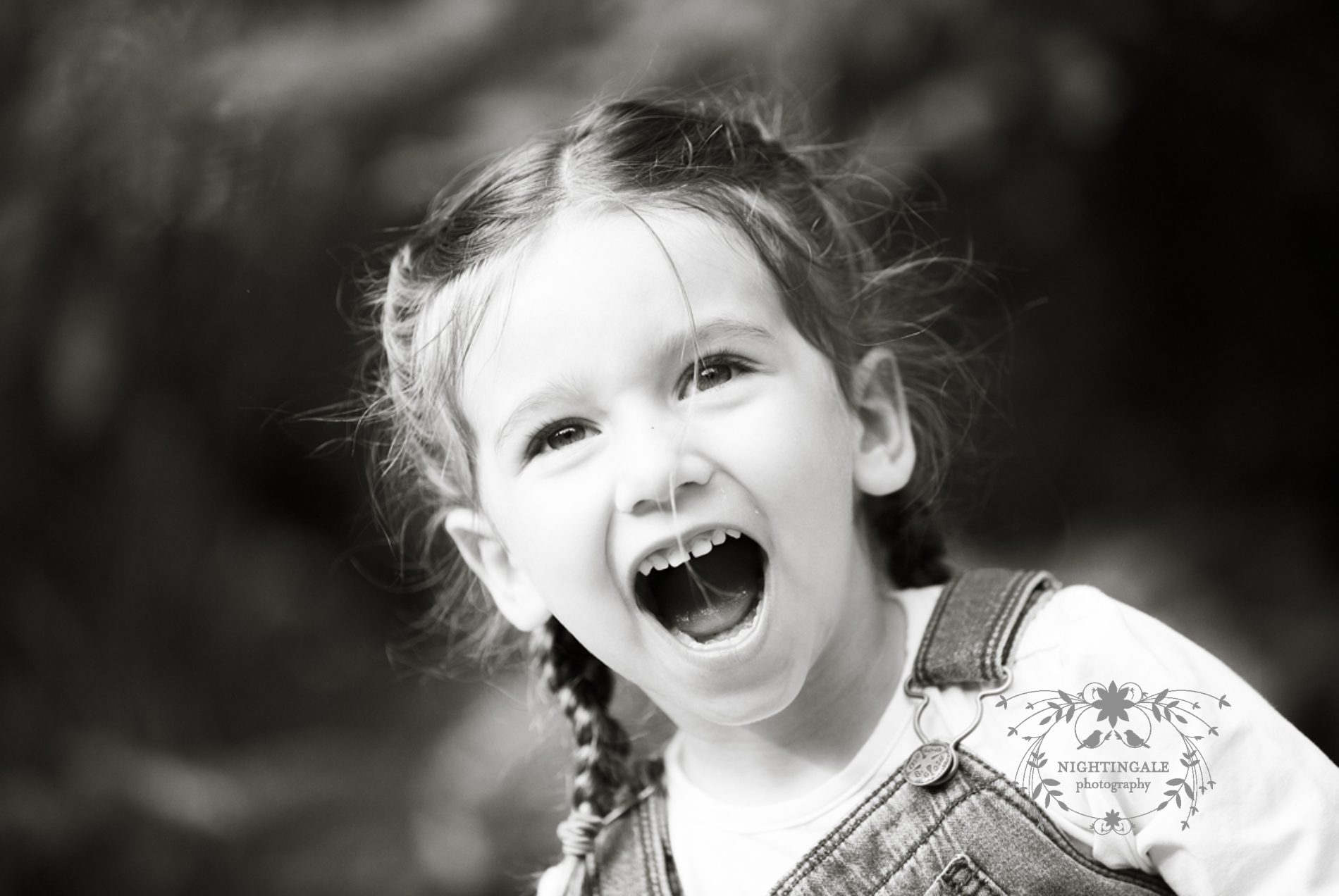 Bay Area Family Photographer