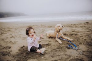 San Francisco Bay Area Family Portraits21
