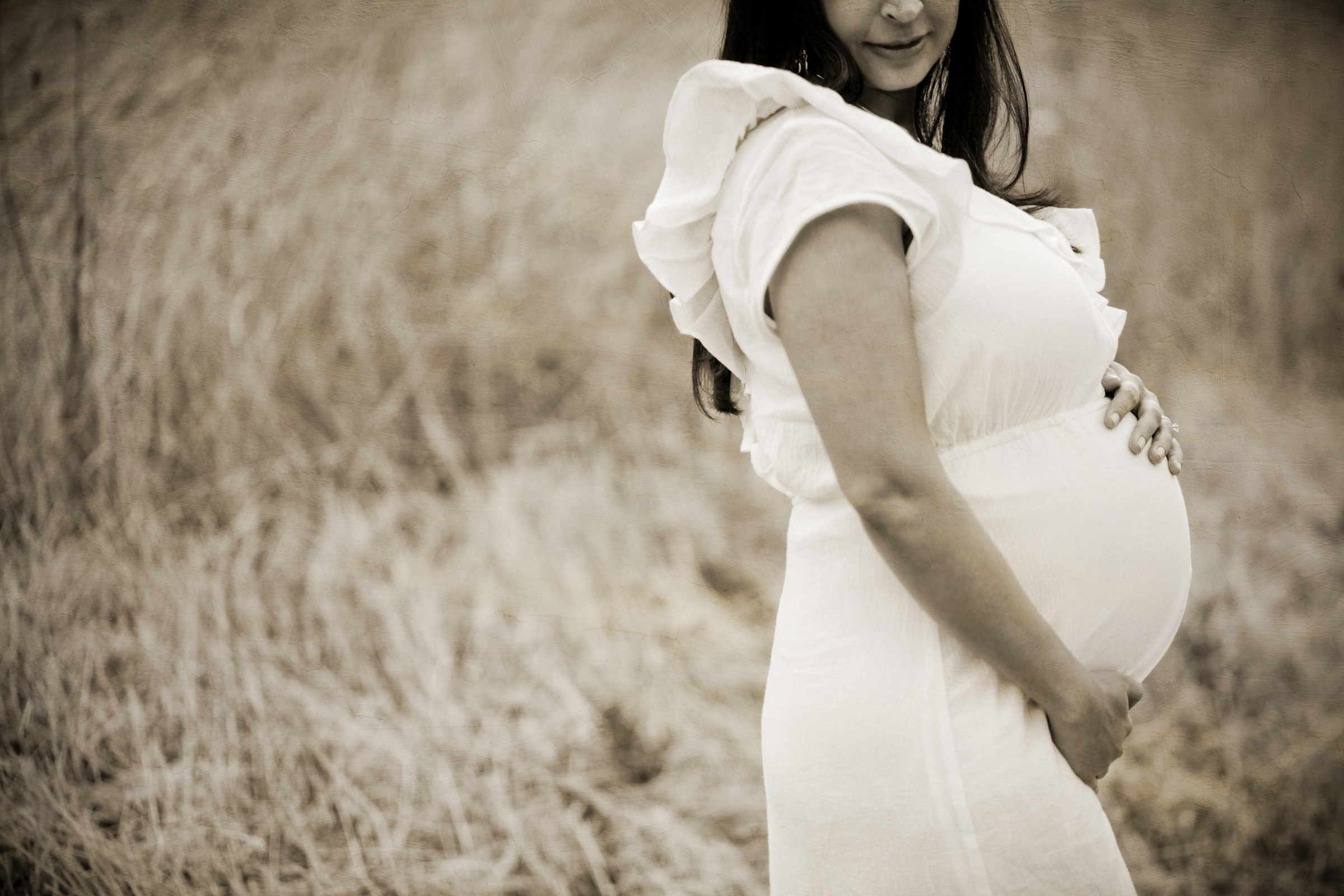 best maternity photographer bay area