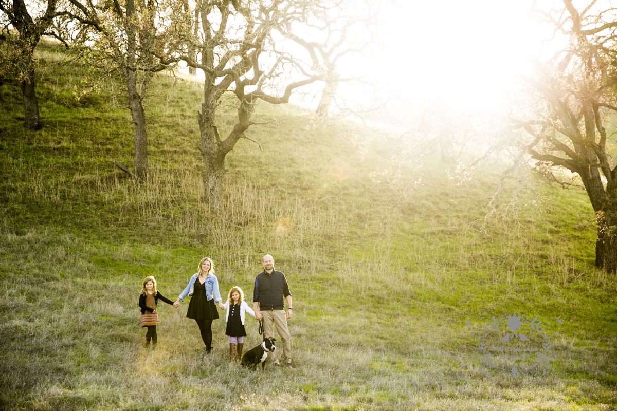 Walnut Creek Photographer