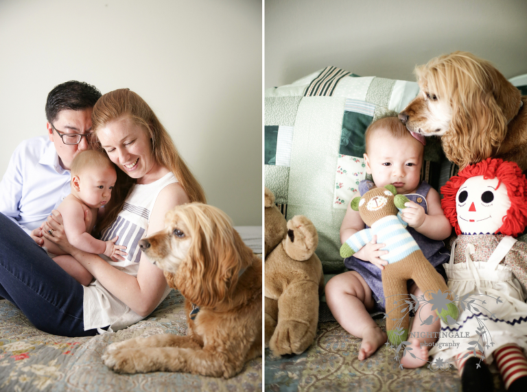 Pets Family Portraits