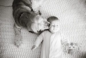 Pets Family Portraits