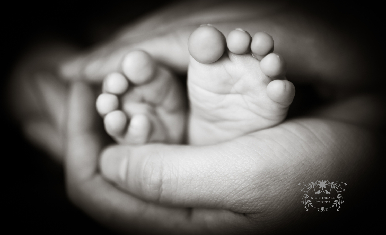 Baby Plan Photography