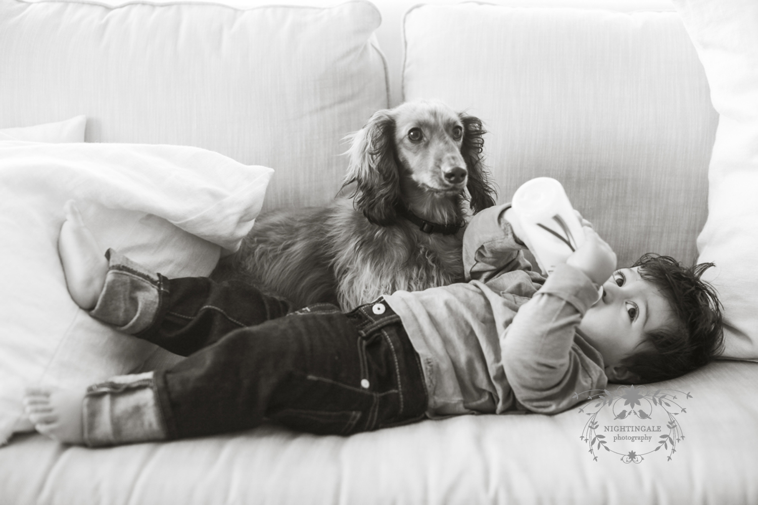 Baby Plan Photography