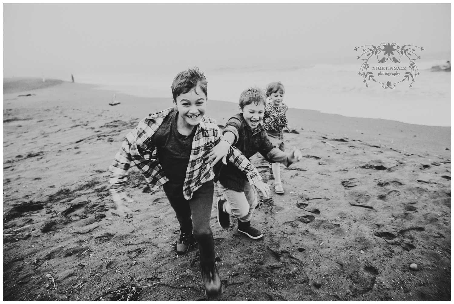 Marin Photographer