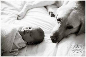 Bay Area Newborn Photographer