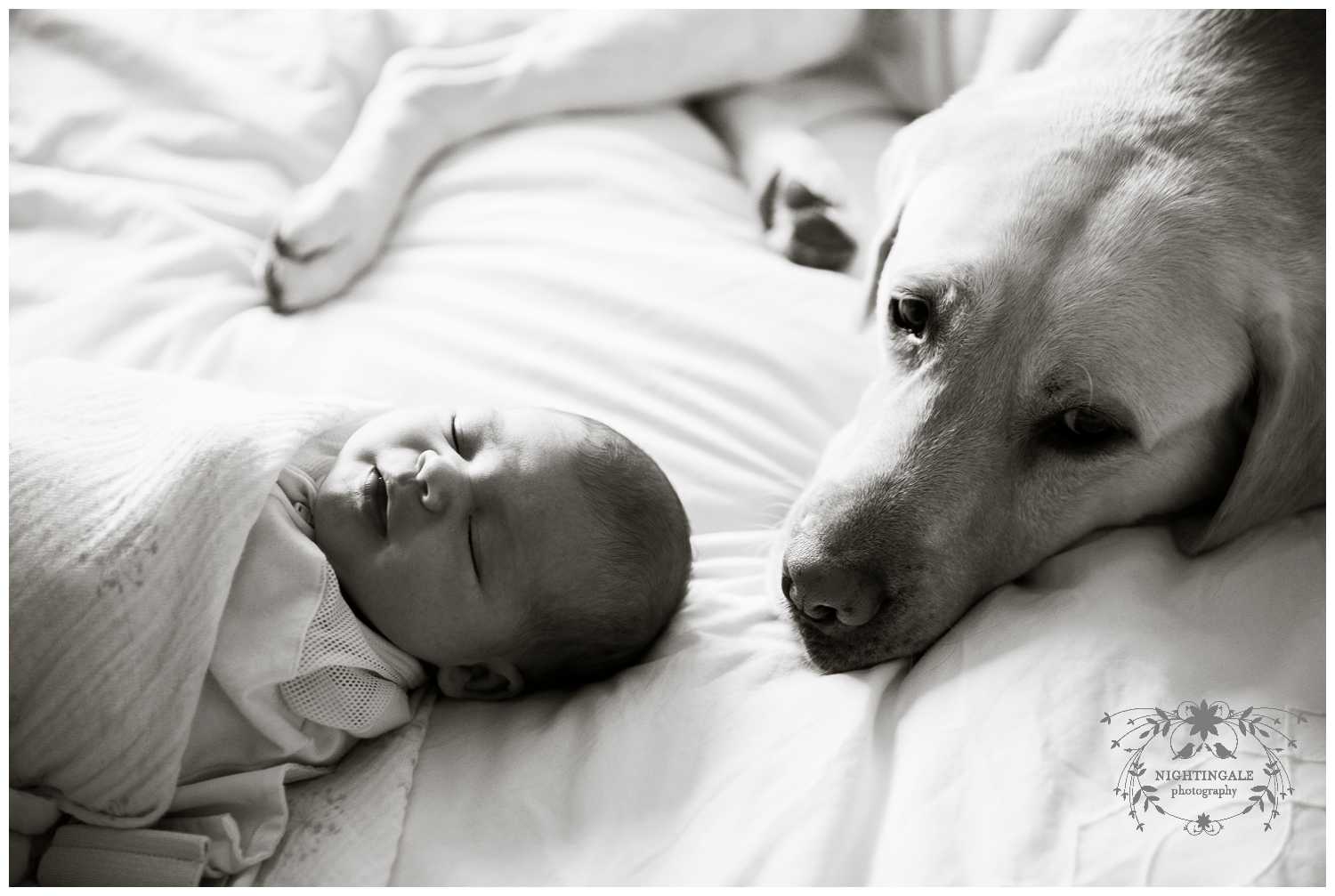 Bay Area Newborn Photographer