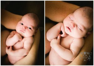 Bay Area Newborn Photographer