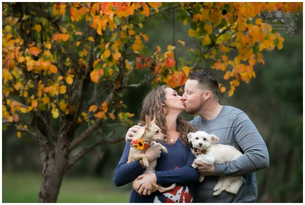 Natural and candid maternity portraits at Lake Anza in Berkeley, in the East Bay, by Nightingale Photography
