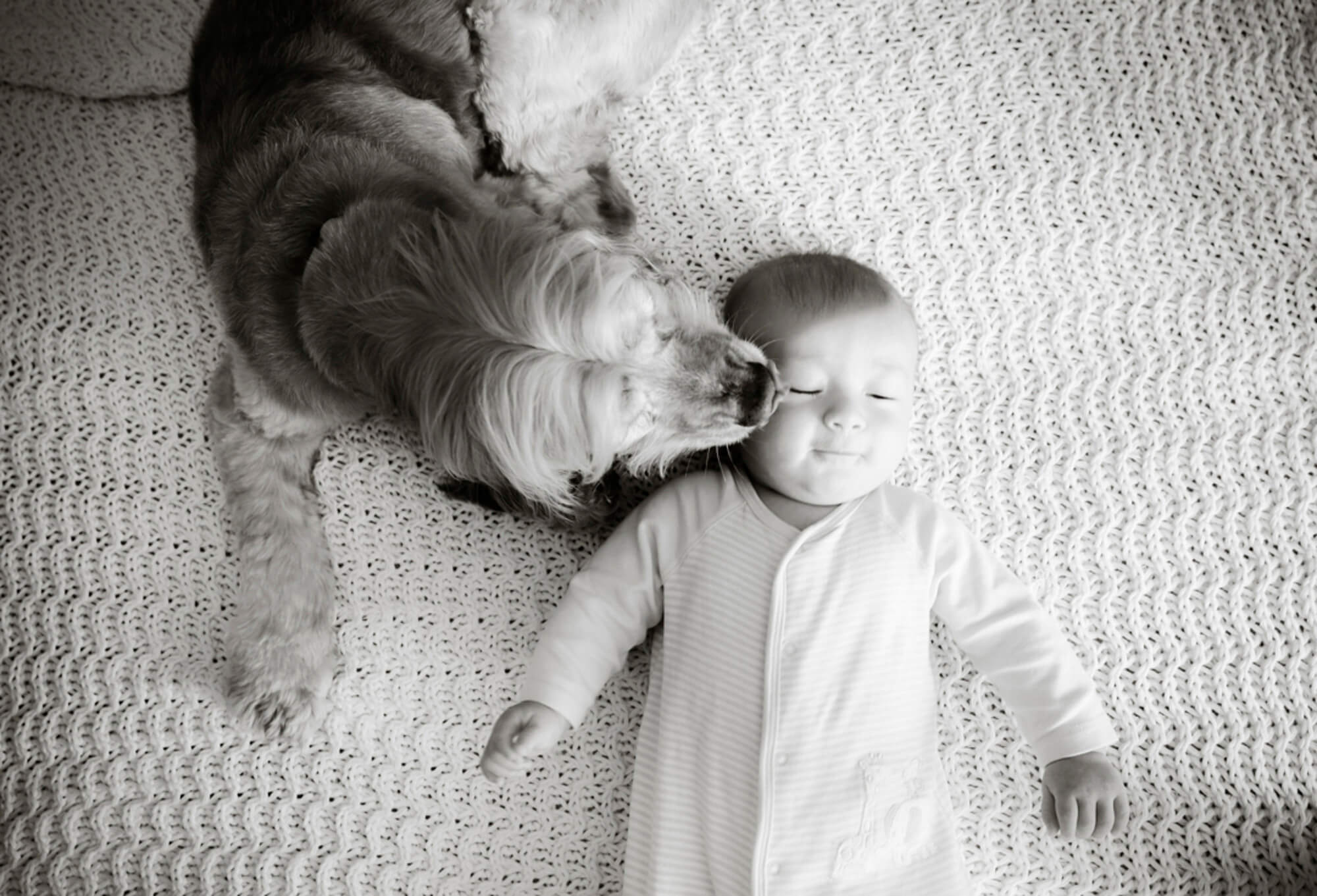 best-bay-area-family-photographers 63