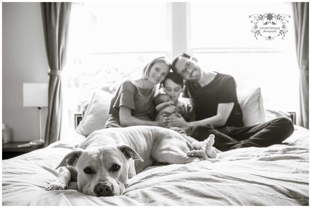 newborn photography bay area