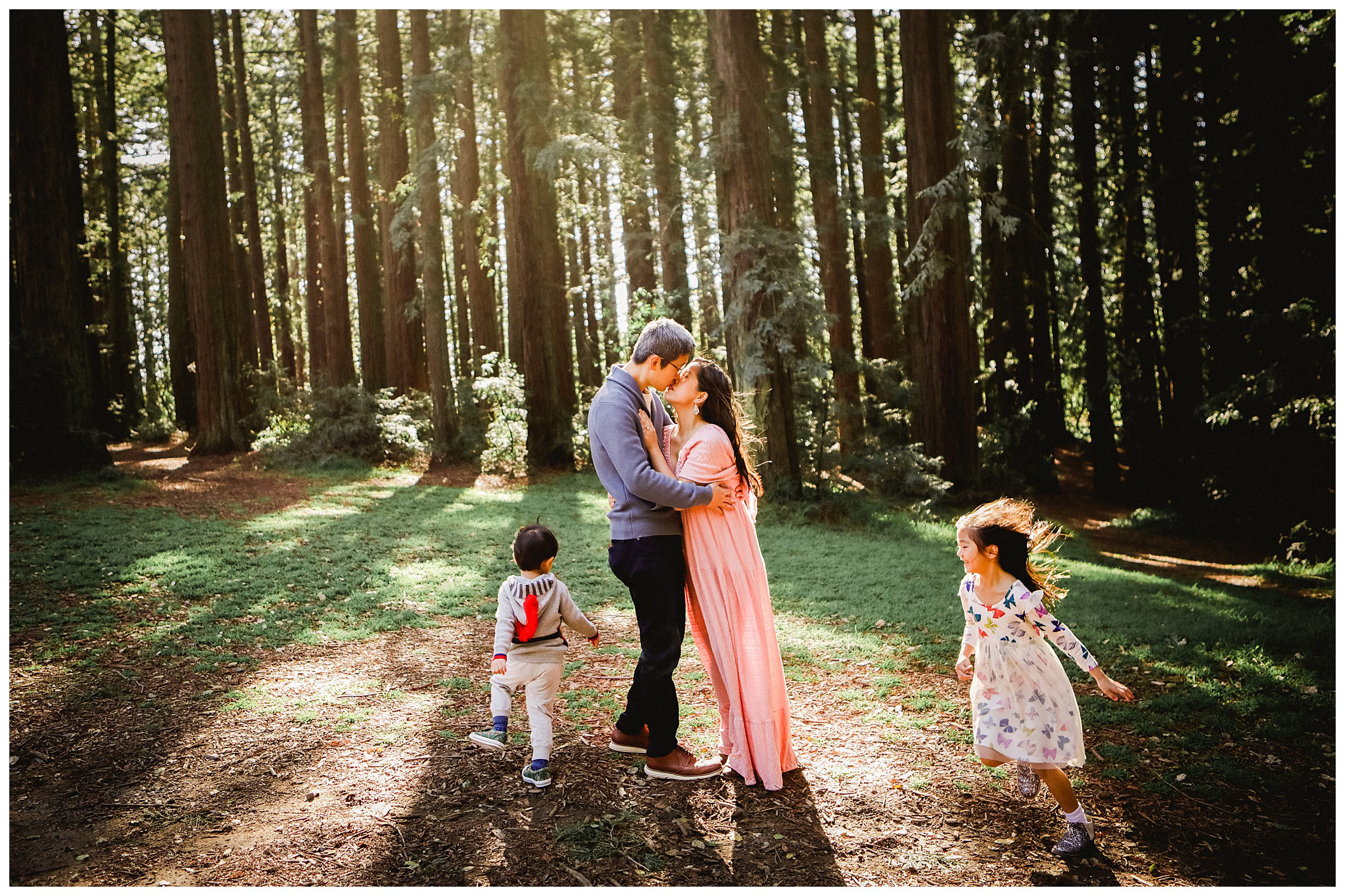 california-redwoods-photos