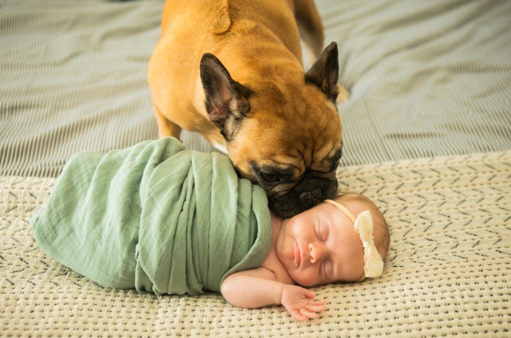 newborn-photo-shoot