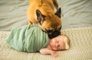 oakland-newborn-photographer