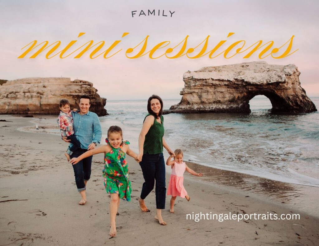 fall mini sessions in the Bay Area 
