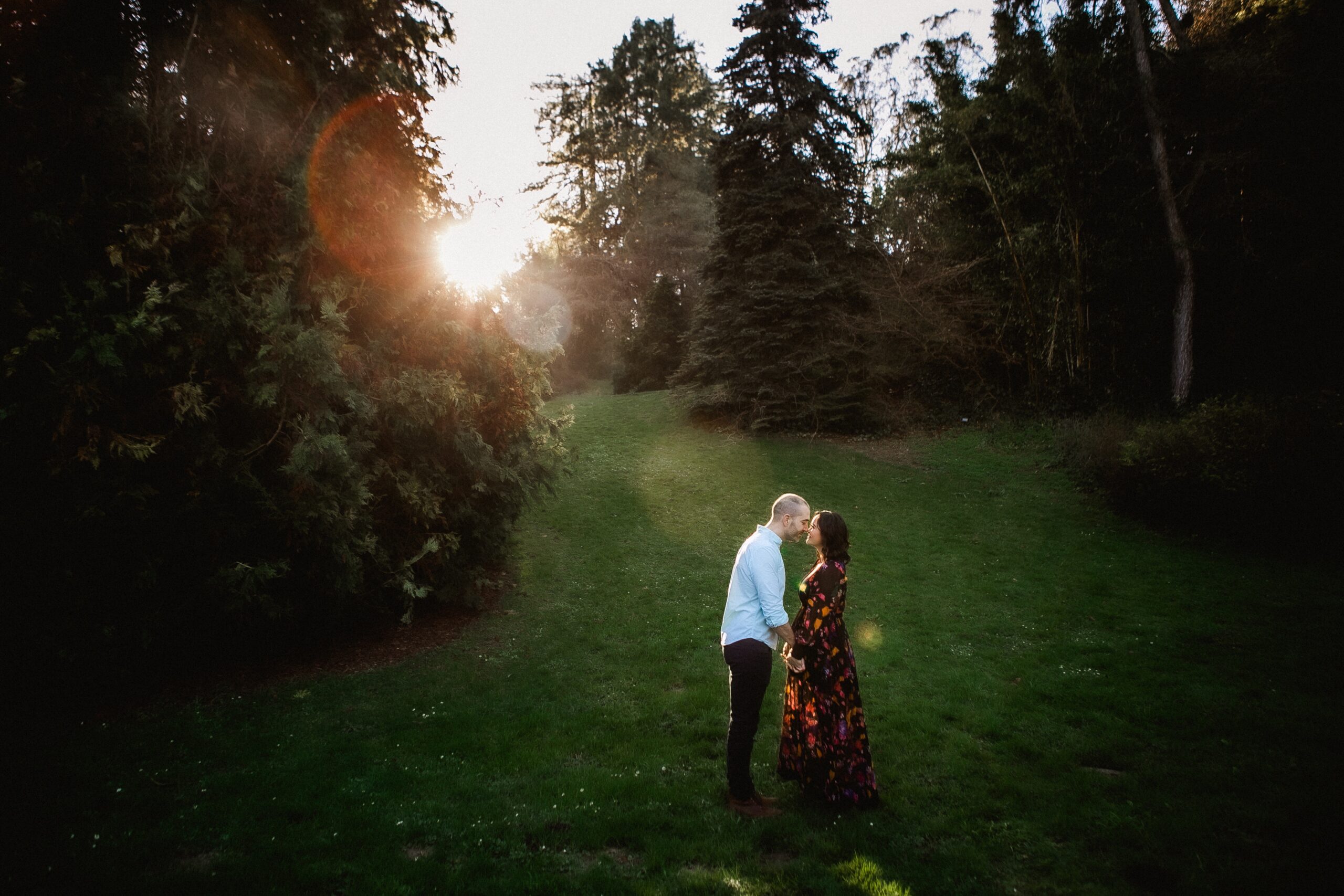 Maternity portrait by a St. Louis maternity photographer, expecting couple standing close on a grassy lawn at sunset among tall evergreens