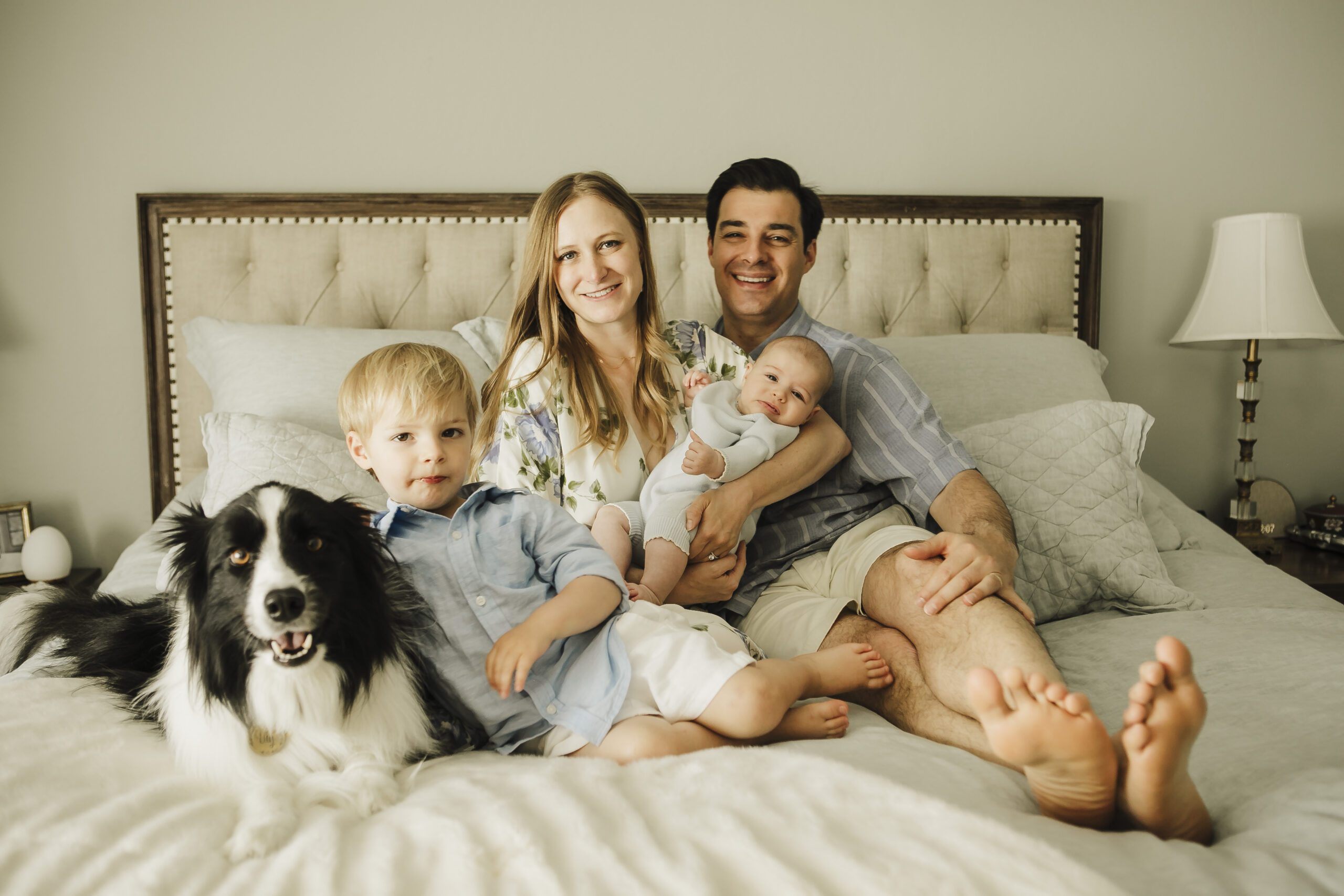 St. Louis newborn photographer, family relaxing on a bed with their newborn, young son and a black and white border collie dog