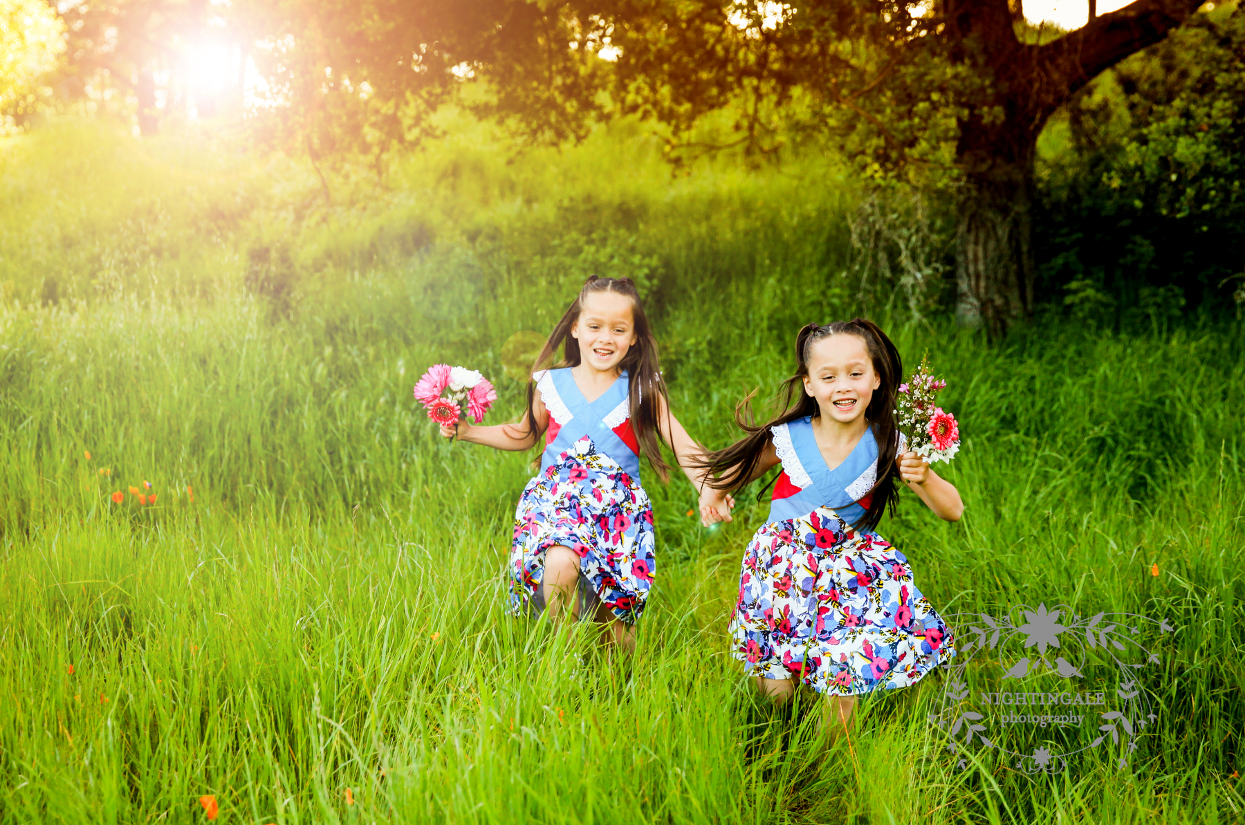Bay Area Family Photographer