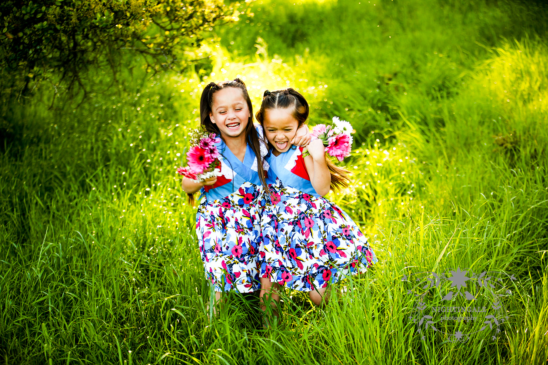 Bay Area Family Photographer