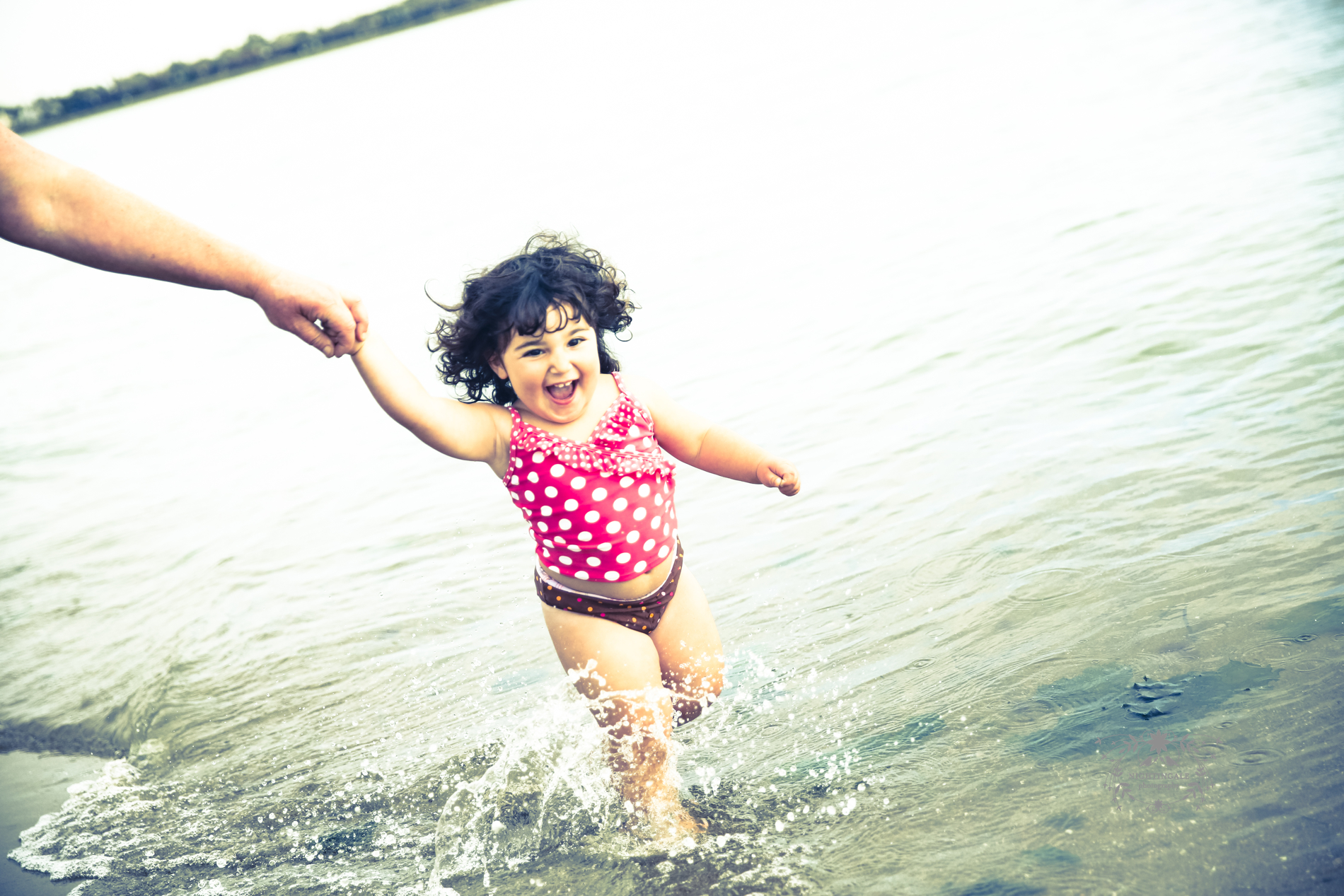 East Bay Photographer