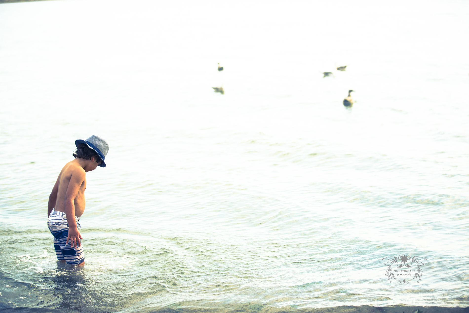 East Bay Photographer