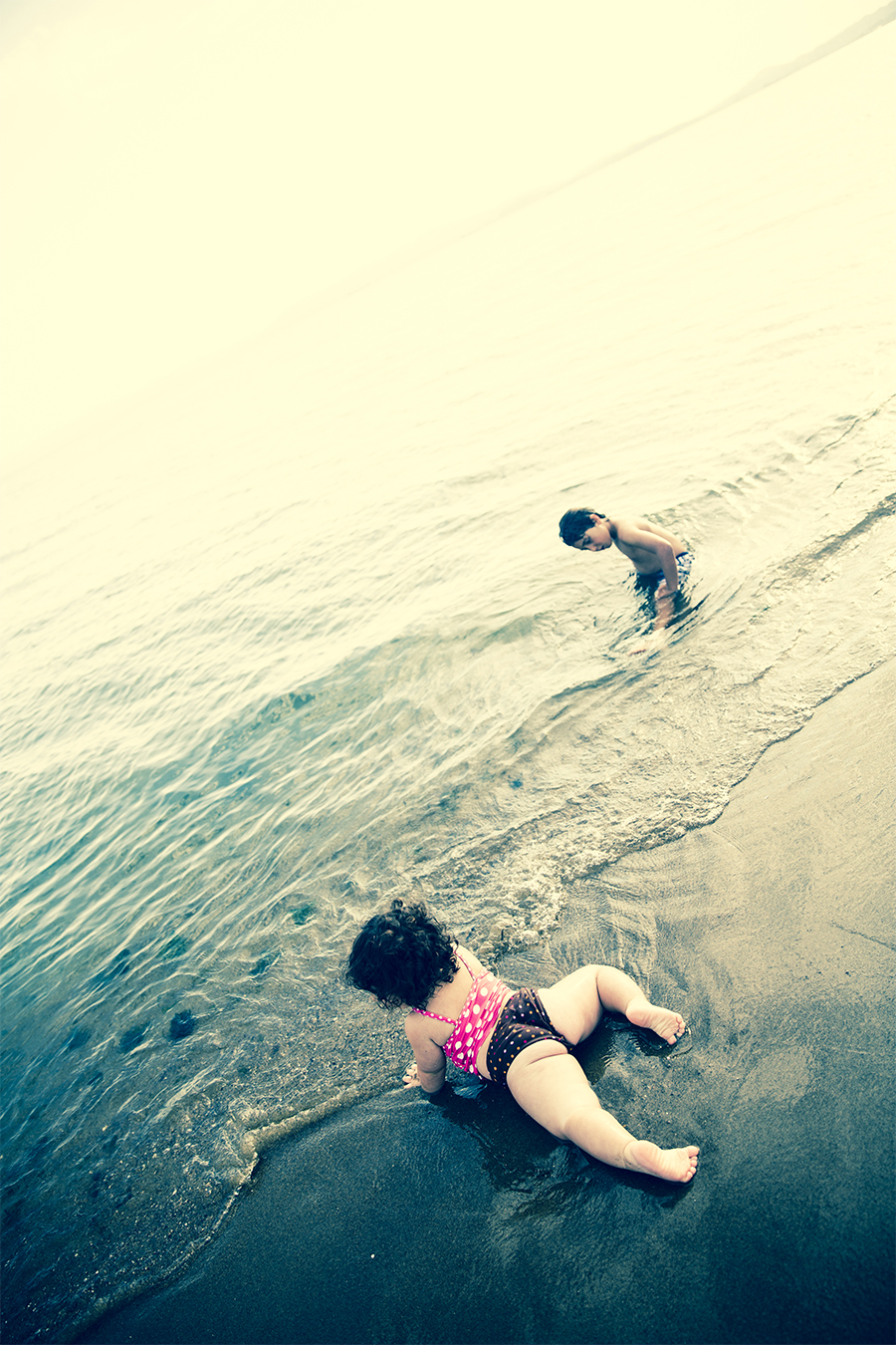 East Bay Photographer