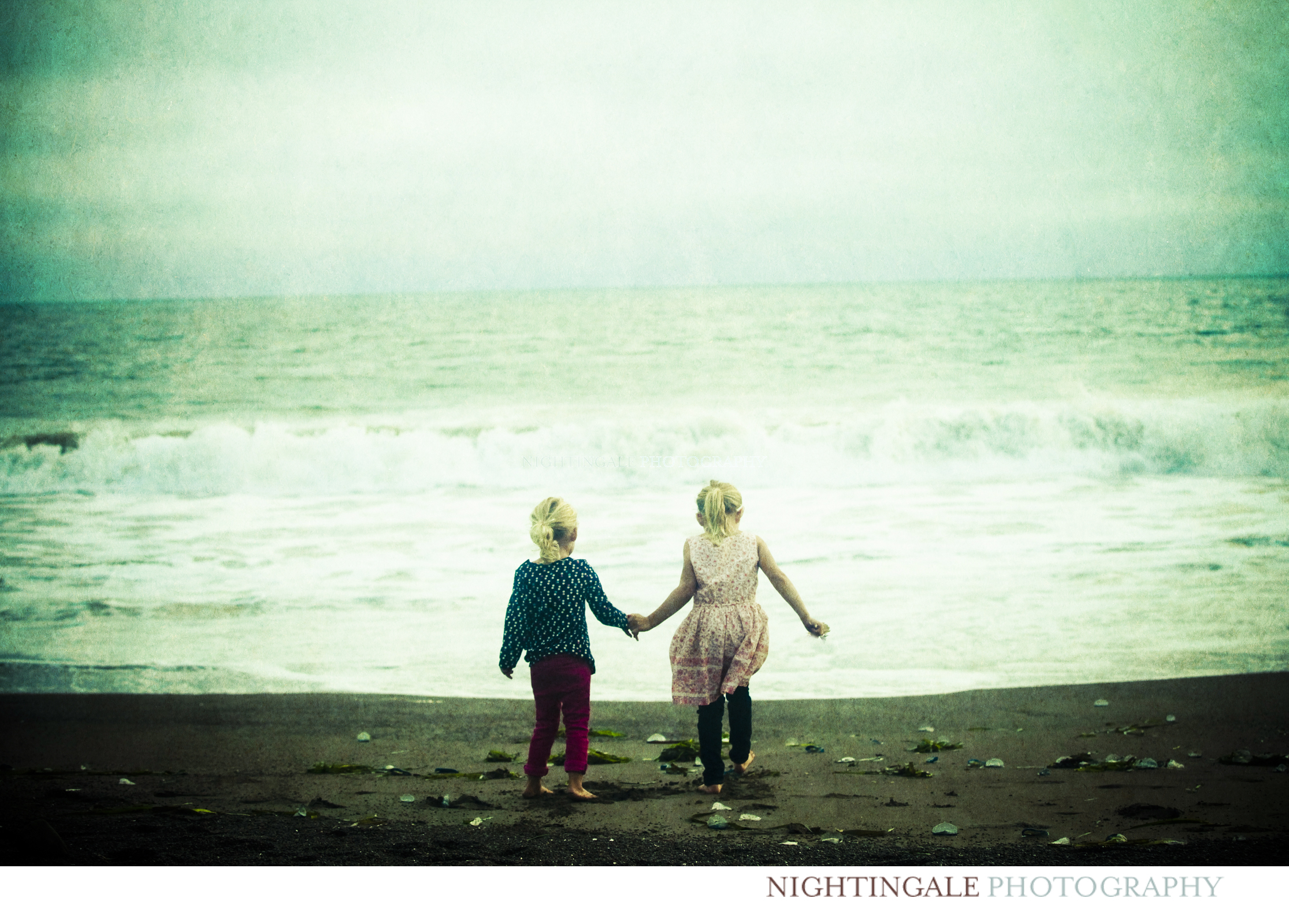 Marin Family Portrait Photographer