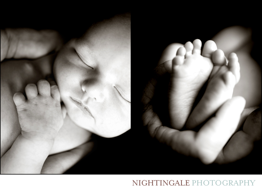 Marin Newborn Session 