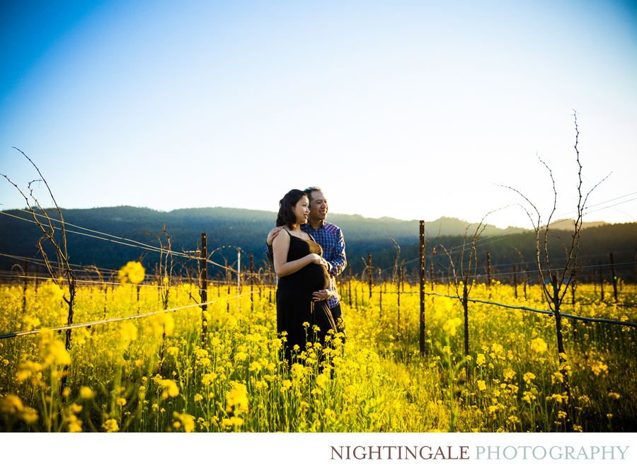 Maternity Session Napa