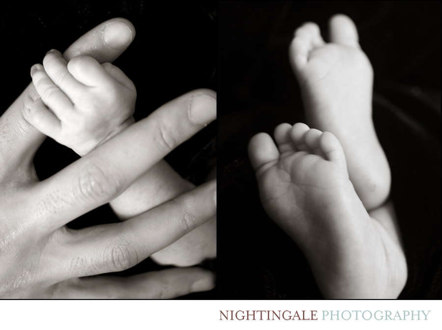 Bay-Area-Newborn-Photographer Bay-Area-Newborn-Photographer