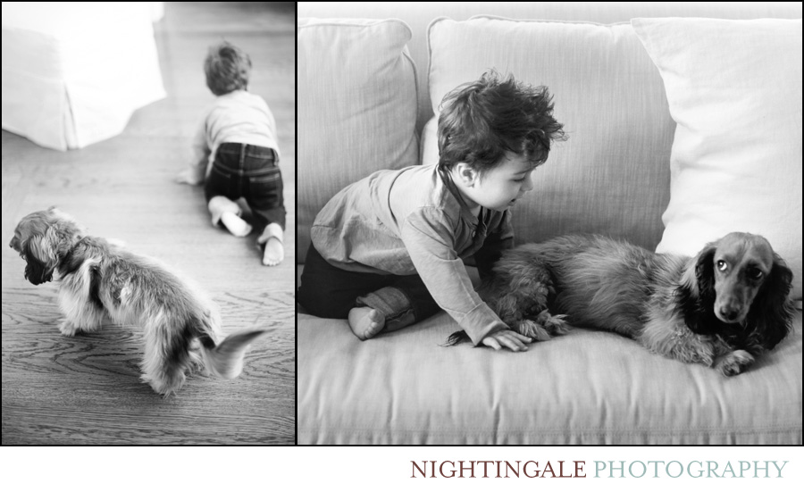 San-Francisco-Family-Portraits