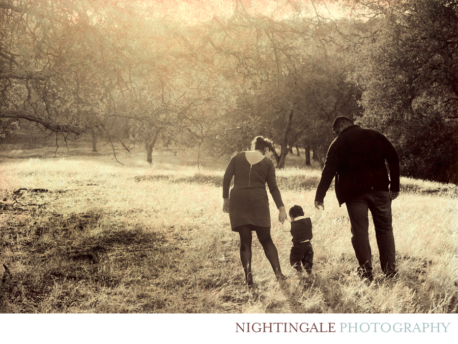 Walnut Creek Family Portraits