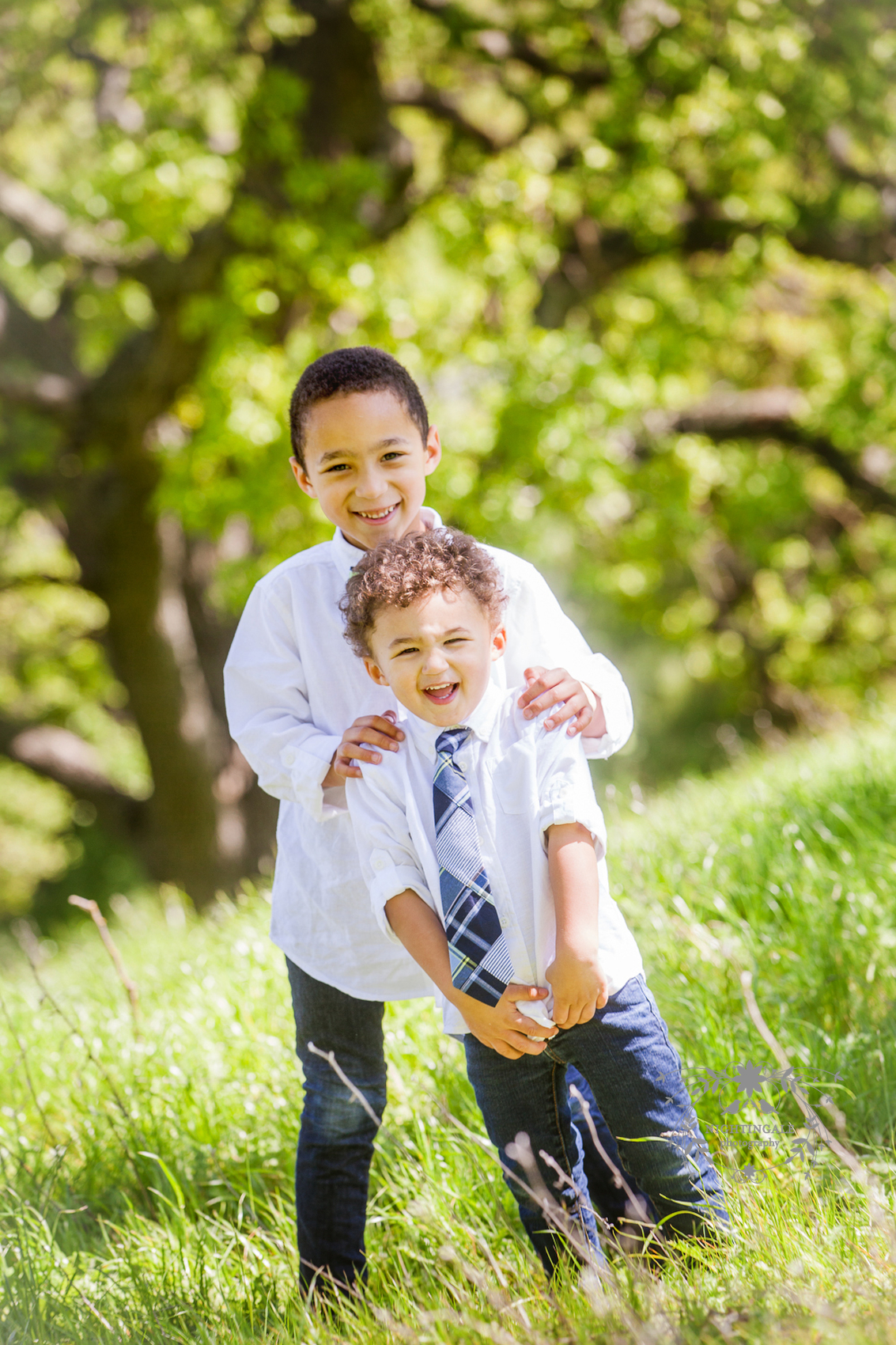 Walnut Creek Photographer