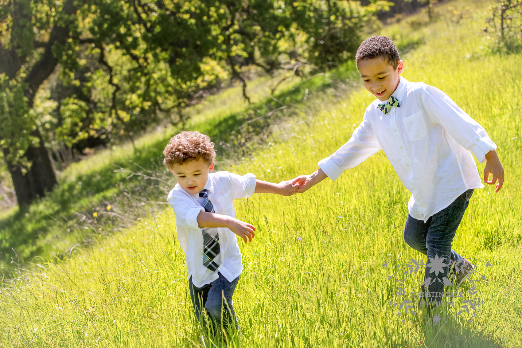 Walnut Creek Photographer